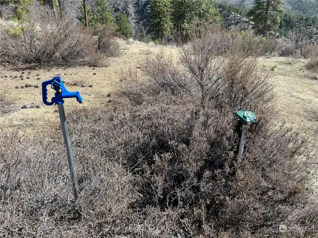 Frost-free hydrant downstream of cistern