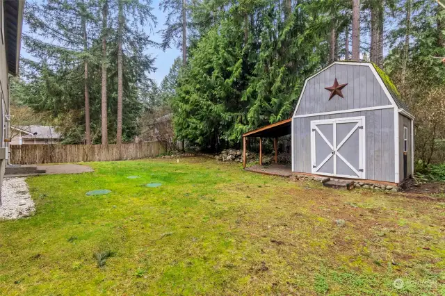 Lots of room in the nice-sized backyard. The large shed in this photo has been outfitted as a shop. The area in back of the home is a community park/forest.