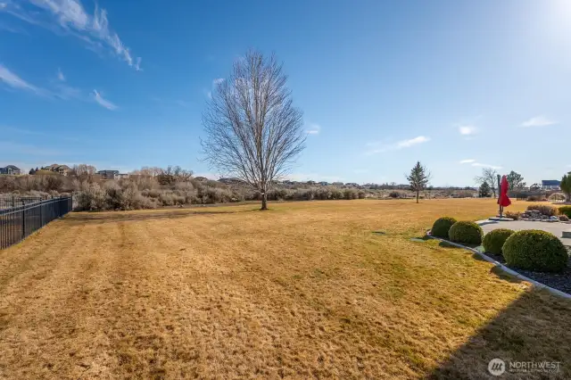 Spacious backyard