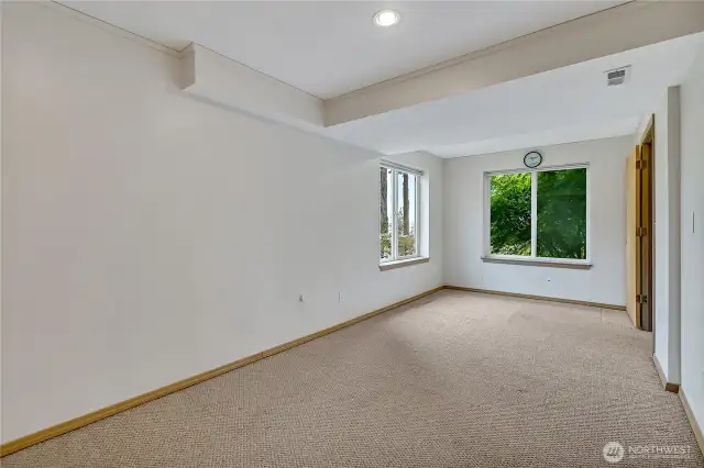 Lower Level Bedroom