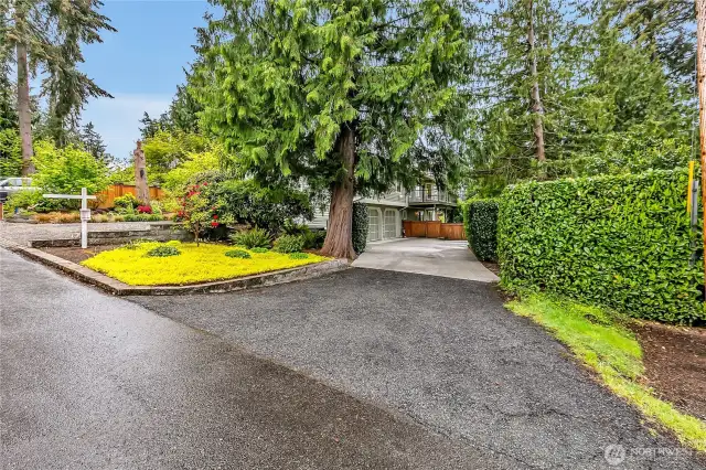 Driveway