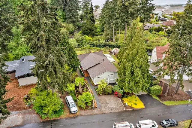 Drone View