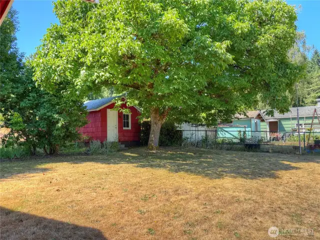 Rear Yard2