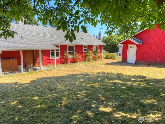 Rear Yard 3