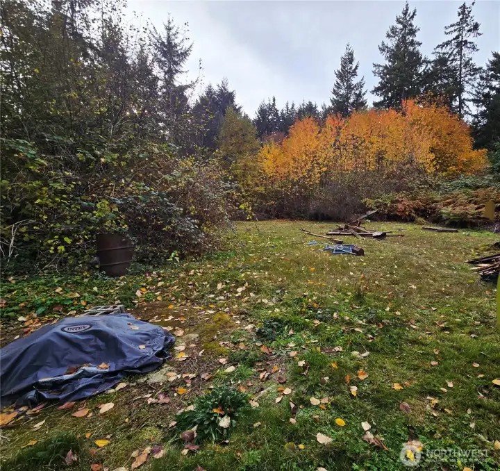 Unfenced side of back yard