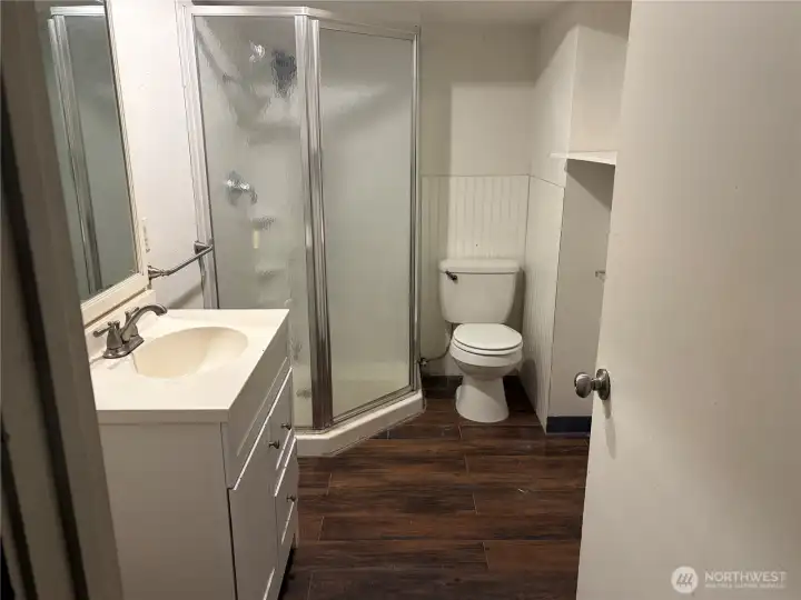 Lower Level Bathroom