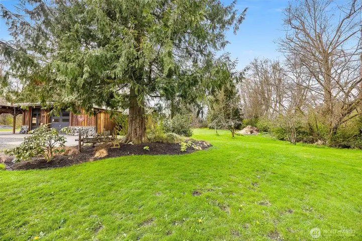 Garden space behind shop.