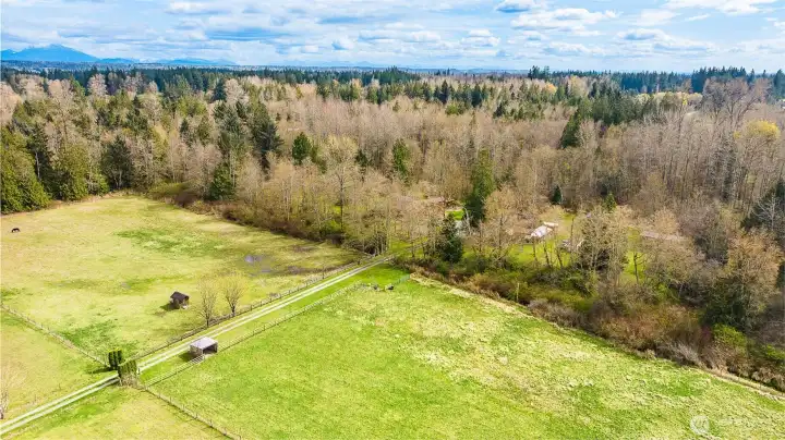 2 large fields - one on each side of driveway entrance.