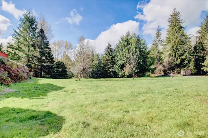 Large yard with fruit trees.