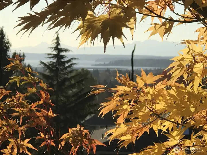 Fall view of sound and Olympic Mountains