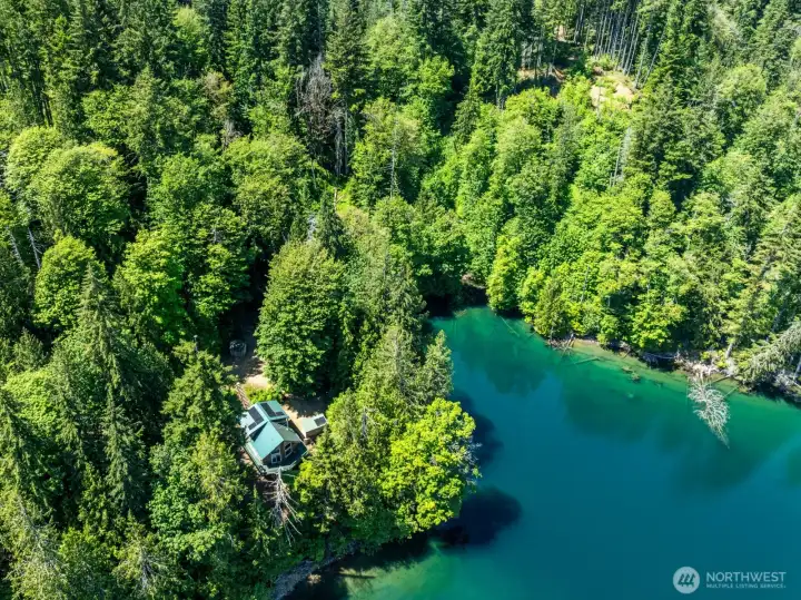 Ever dream of living on lakefront property, in the forest, with Mountain views?  This isn't a fairytale, this beautiful home on Lake Cushman has it's own cove and private floating dock. Live off-grid in a National Forest in a beautiful house while enjoying convenience of modern living like uninterrupted electricity or internet service.