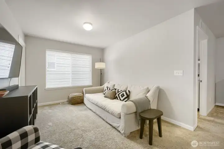 Cozy bonus room ideal for movies, guests, or relaxing.