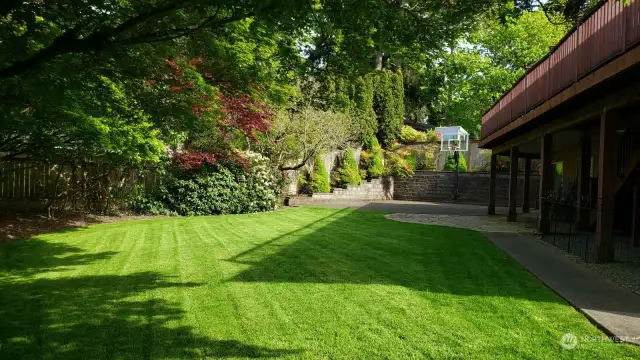 Gorgeous backyard space