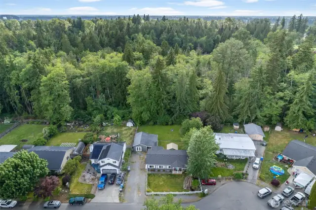Large lot, extends to wooded area