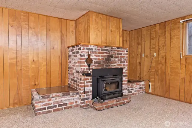 The lower level fireplace insert.