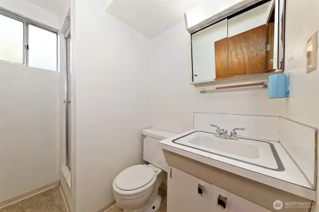 Lower level bathroom.