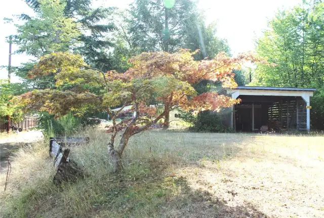 This is the additional lot behind in the alley that also comes with the sale! This handy wood shed stores all the wood you will need in the winter, and you could also park your RV, boat, or other toys back here.