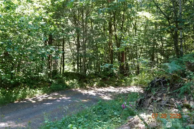 Access Road