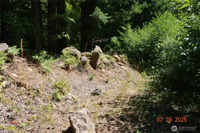 Driveway to camp/building site