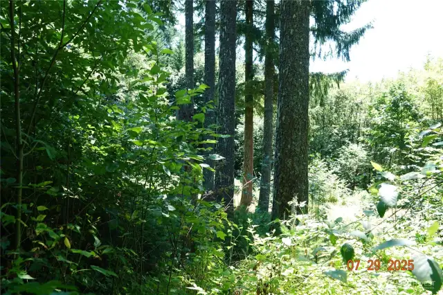 Camp/building site