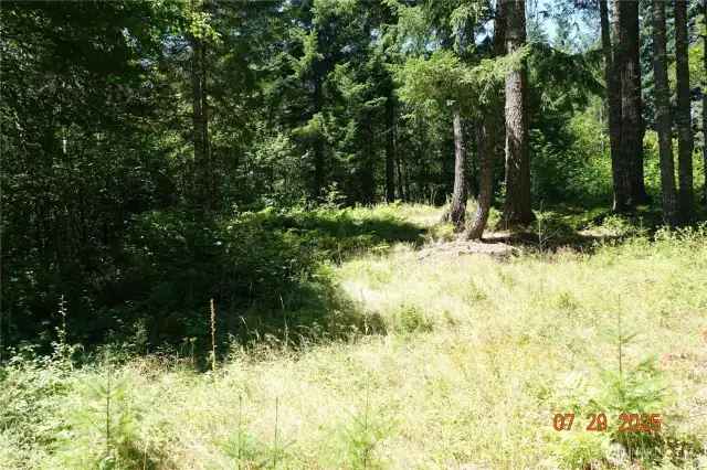 Camp/building site