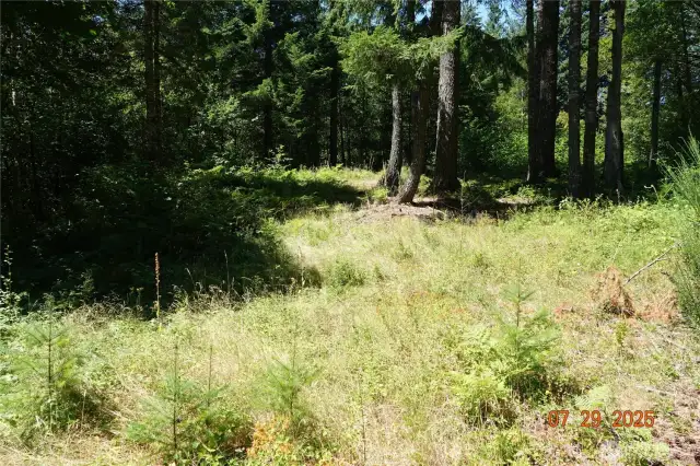 Camp/building site