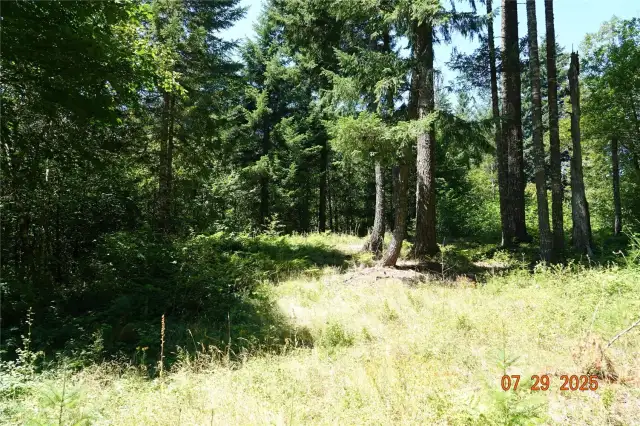 Camp/building site