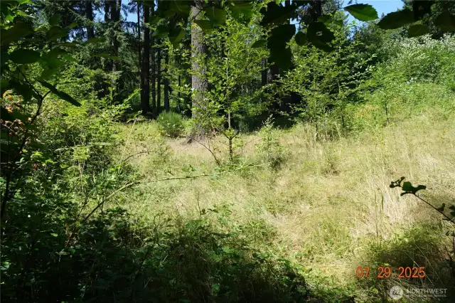 Camp/building site