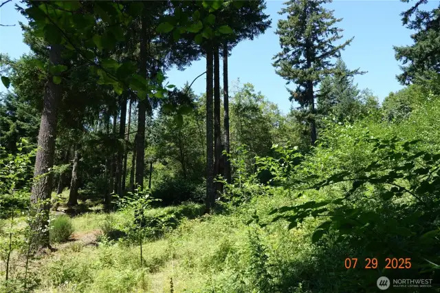 Camp/building site