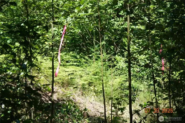 Fallow flags to the Camp/Building site