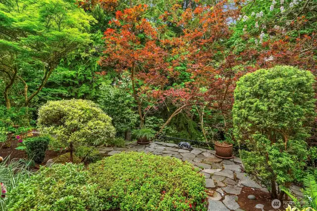 Lush, mature plantings - the air is magnificent here, thanks to this garden.