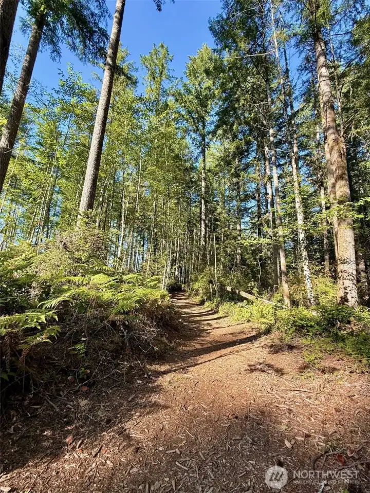 TRAILS out your front door!