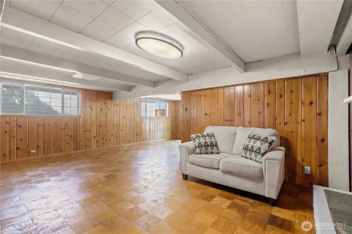Rec room in basement