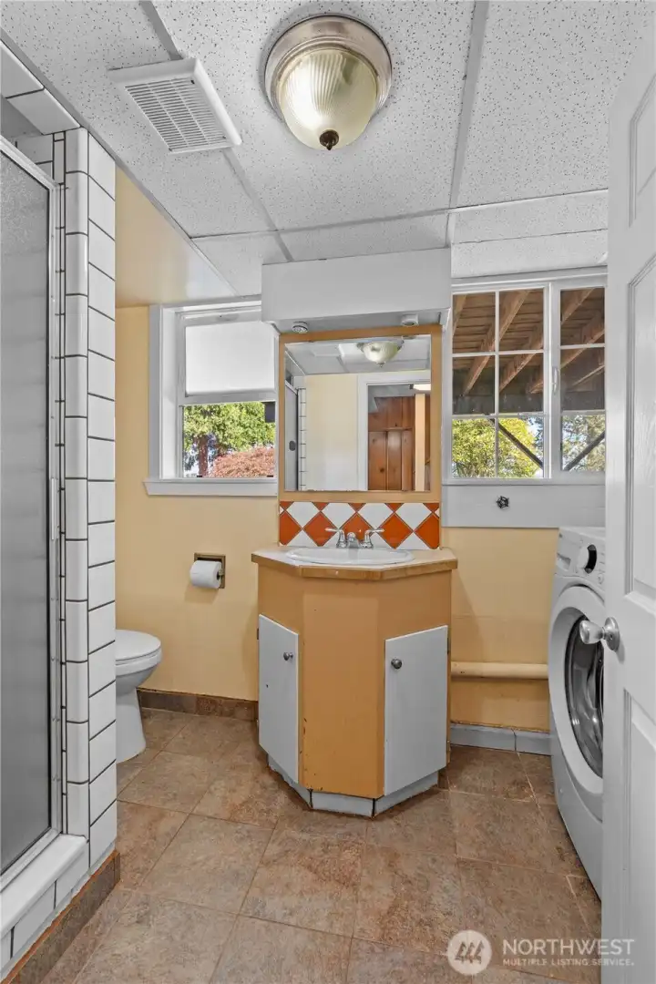 Lower level bathroom with spacious shower