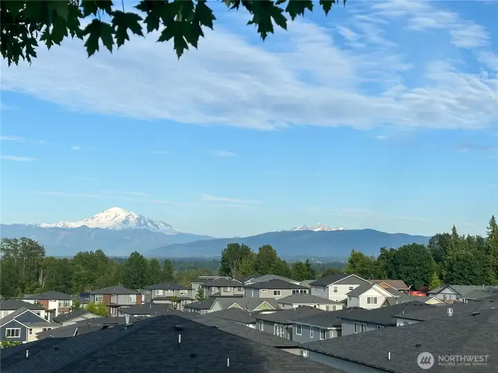 Views from the backyard