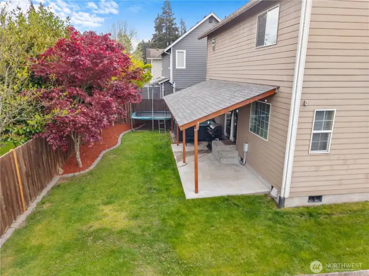 BACK YARD | LOW MAINTENANCE LANDSCAPING