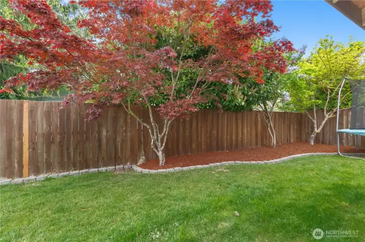 BEAUTIFUL TREES AND HEALTHY GRASS!