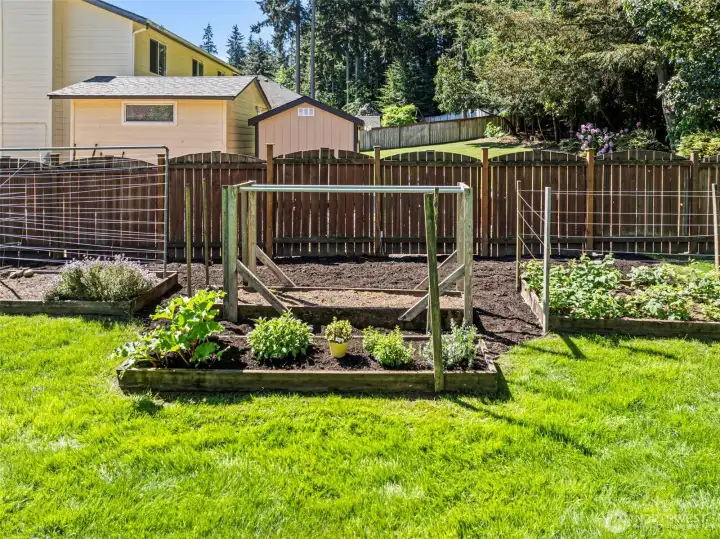 Established garden beds, including an herb garden and raspberries, are ready to go!