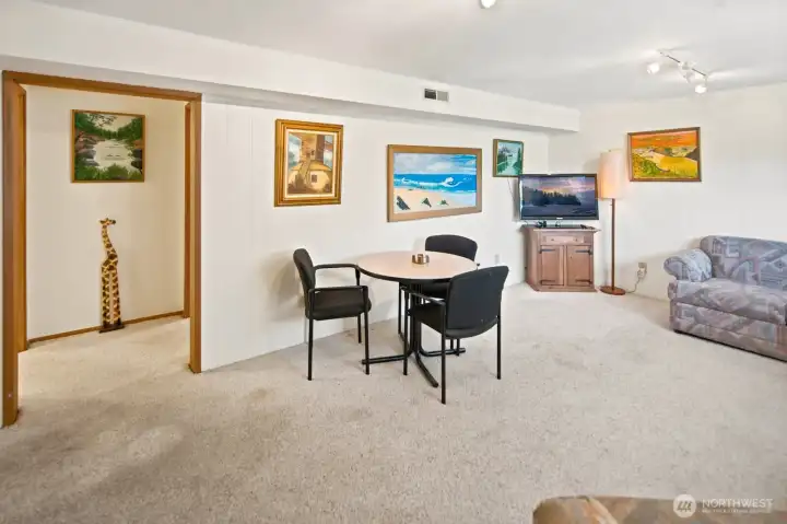 Lower Level Family Room
