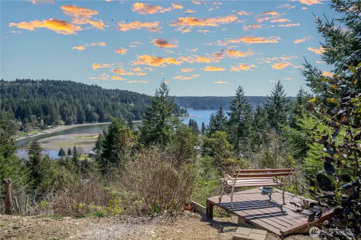 Sunny patio off the living area—perfect for morning coffee, fresh air, and easy indoor-outdoor living, surrounded by evergreens and privacy.