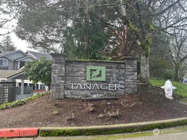 Welcome to Tanager!