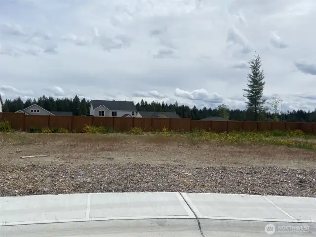 Actual homesite where home will be built