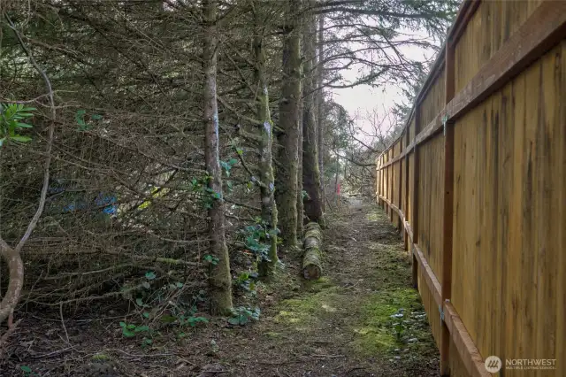 Beach access trail