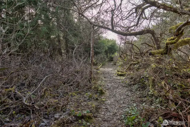 Beach trail, cont.