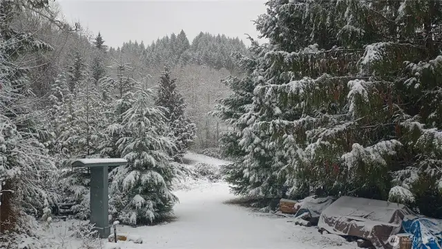 WInter view