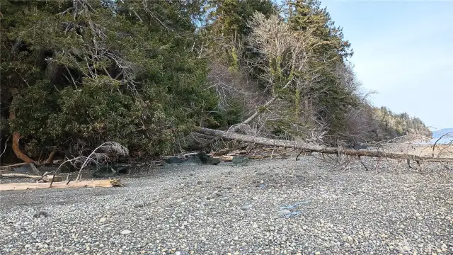 Waterfront portions view