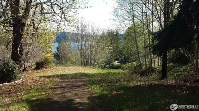 Cleared area