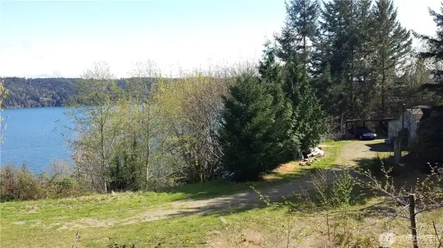 Cleared area