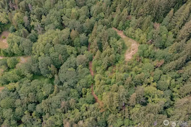 P 9 cleared building spot