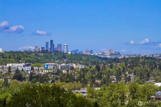 View of downtown zoomed in from upper deck